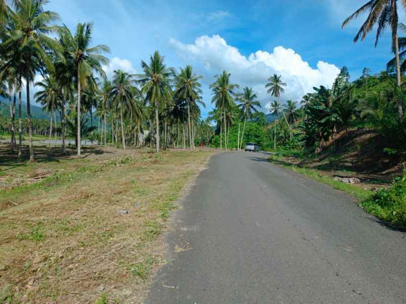 dijual tanah jl raya pindol desa