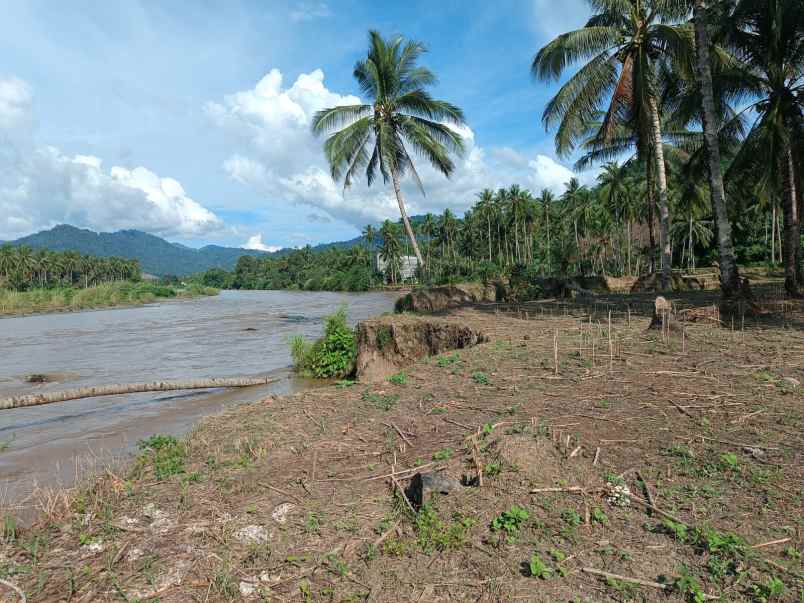 dijual tanah jl raya pindol desa