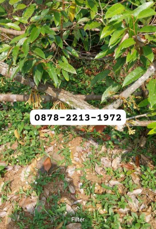 dijual tanah jonggol bogor timur