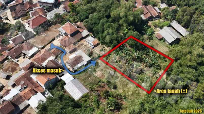 dijual tanah kampung tanggul