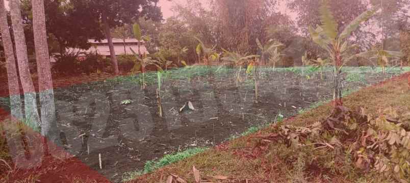 dijual tanah kampung tanggul