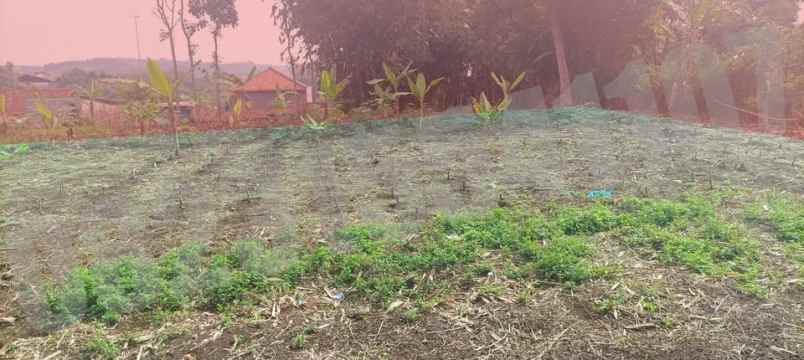 dijual tanah kampung tanggul