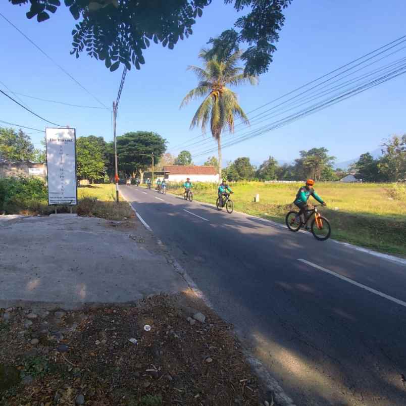 dijual tanah karang bendo rogojampi