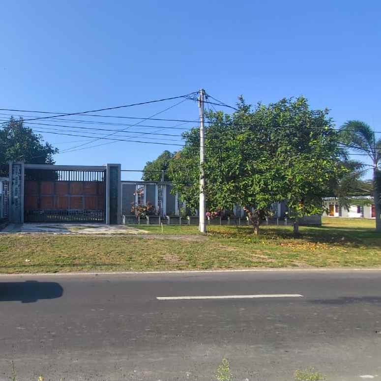 dijual tanah karang bendo rogojampi