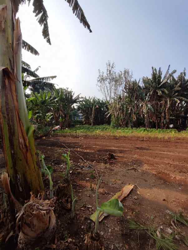 dijual tanah kedoya