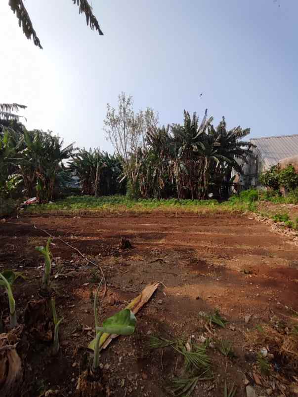 dijual tanah kedoya