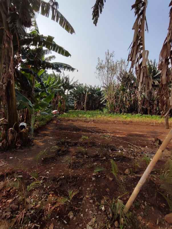 dijual tanah kedoya