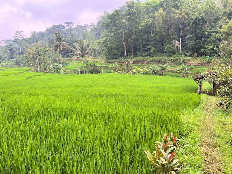 dijual tanah kerjo karanganyar