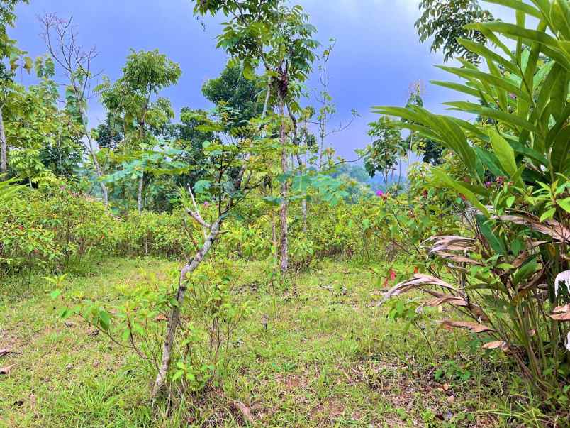 dijual tanah kerjo karanganyar