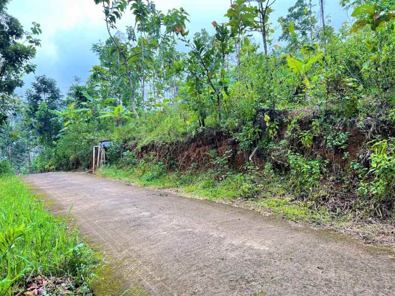 dijual tanah kerjo karanganyar