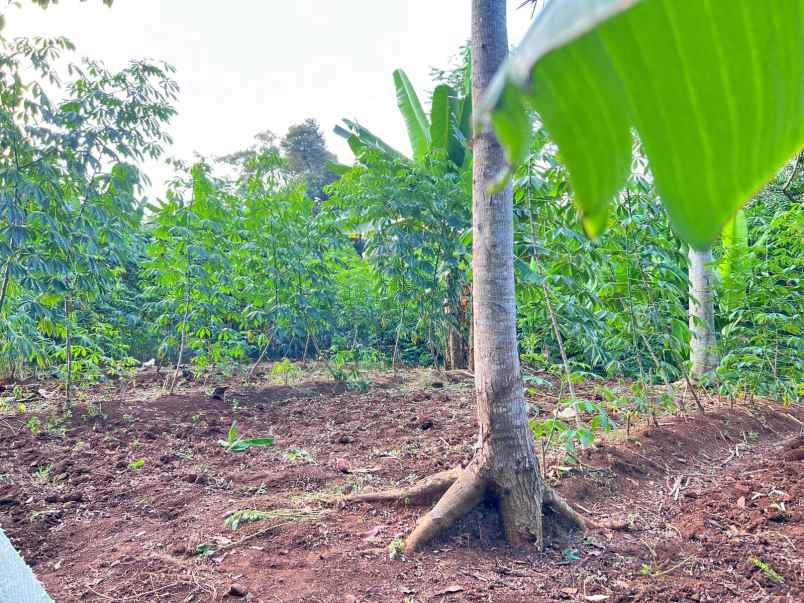 dijual tanah kerjo karanganyar