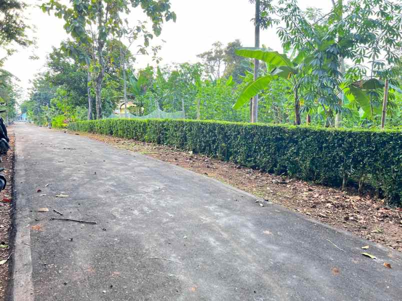 dijual tanah kerjo karanganyar