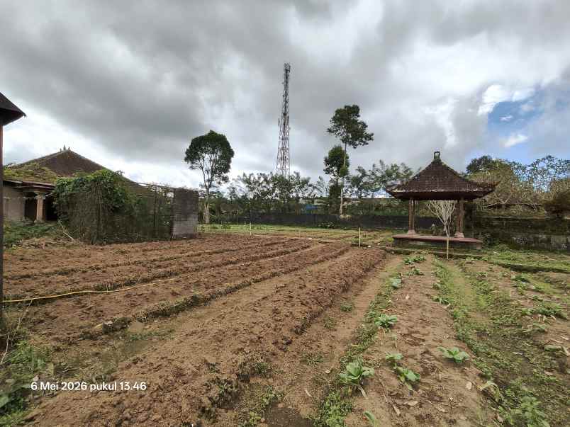 dijual tanah kintamani bangli bali