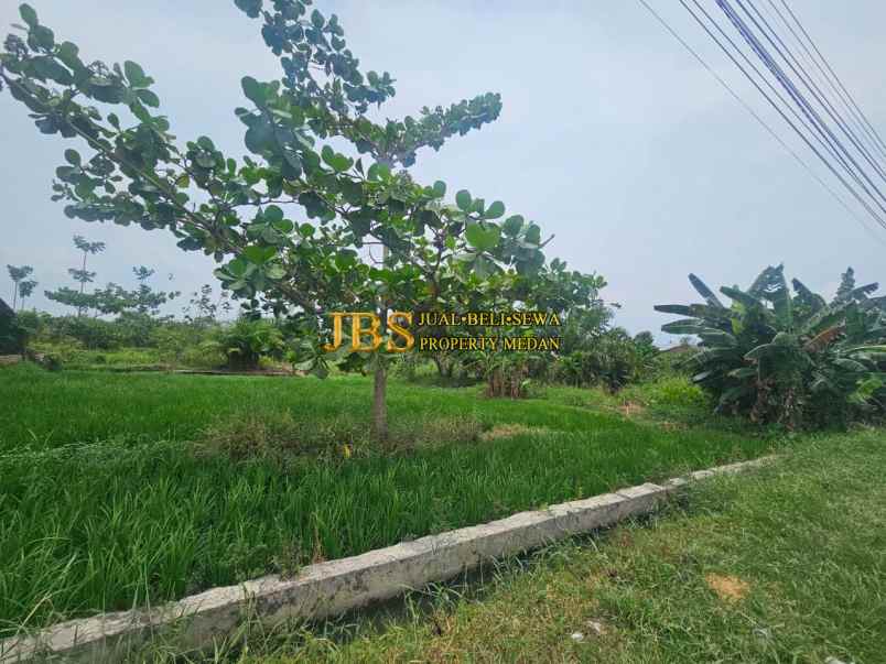 dijual tanah kosong di jalan rumbia daerah batang kuis