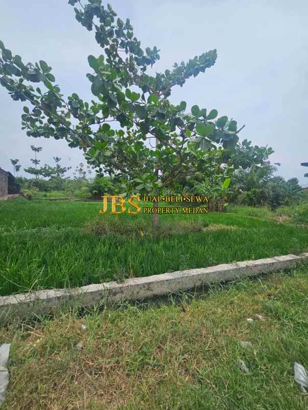 dijual tanah kosong di jalan rumbia daerah batang kuis