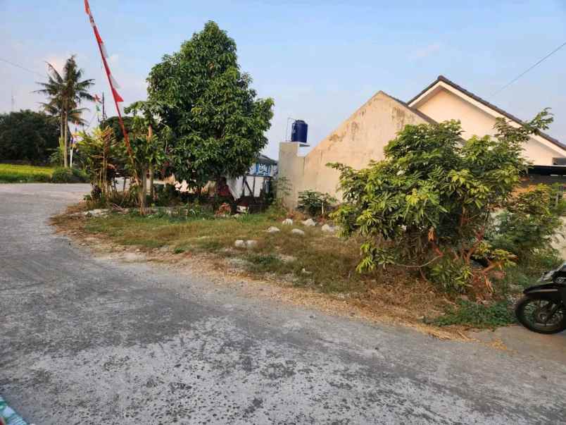 dijual tanah mlati sleman
