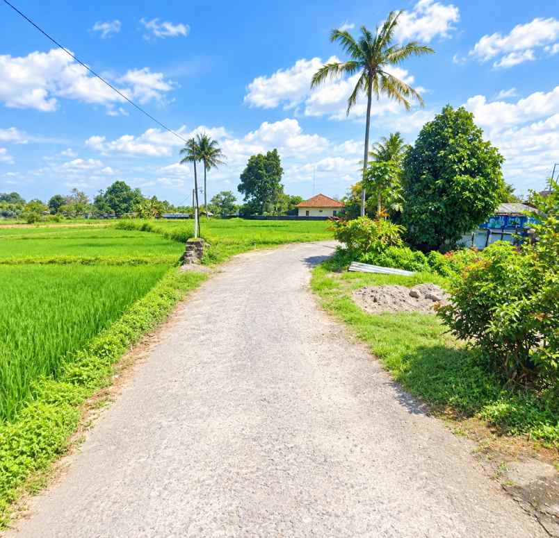 dijual tanah mlati sleman