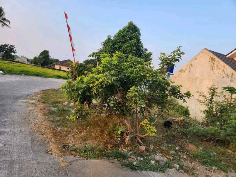 dijual tanah mlati sleman