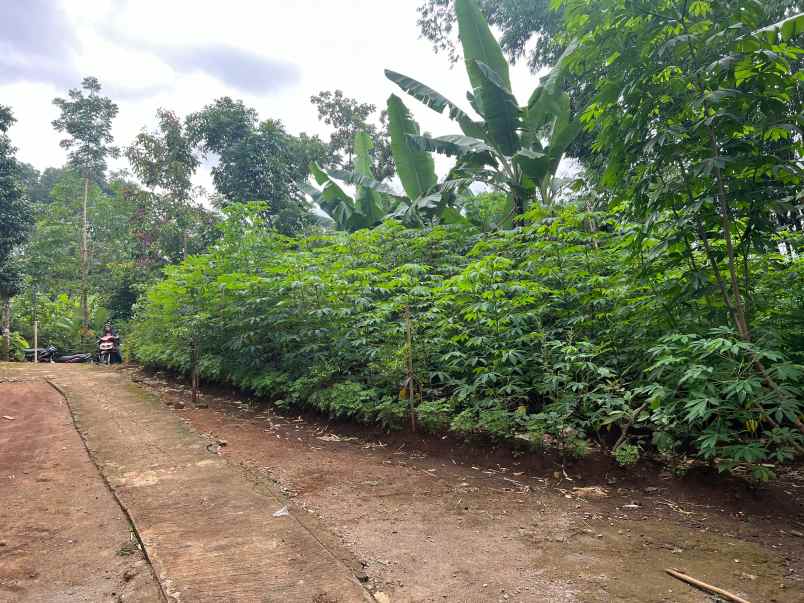 dijual tanah mojogedang karanganyar