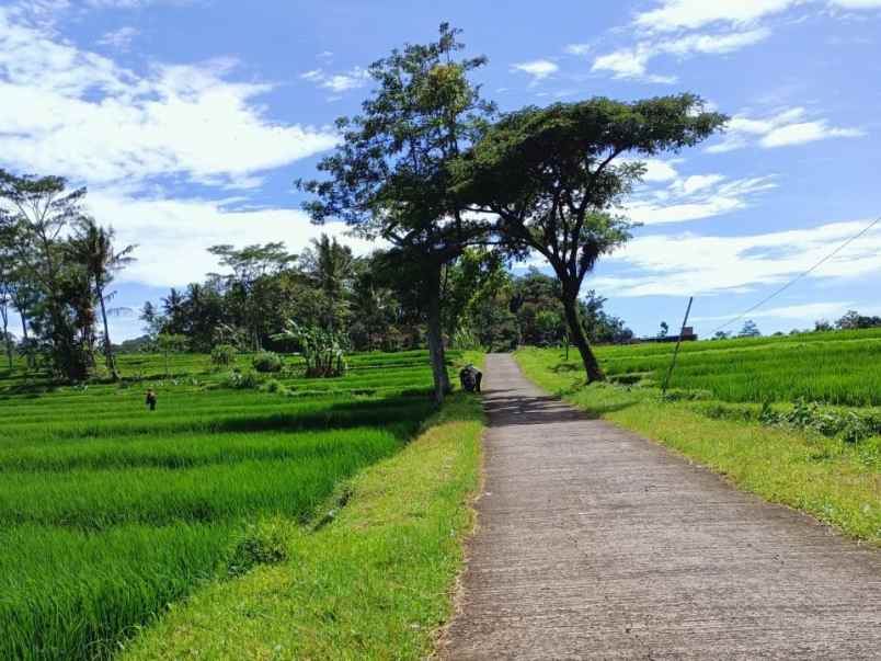 dijual tanah ngargoyoso