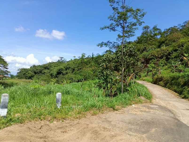 dijual tanah ngargoyoso