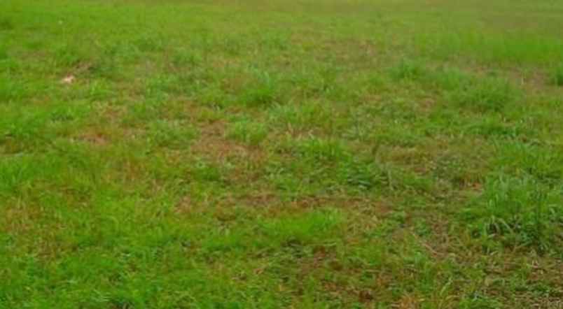 dijual tanah pakuwon city