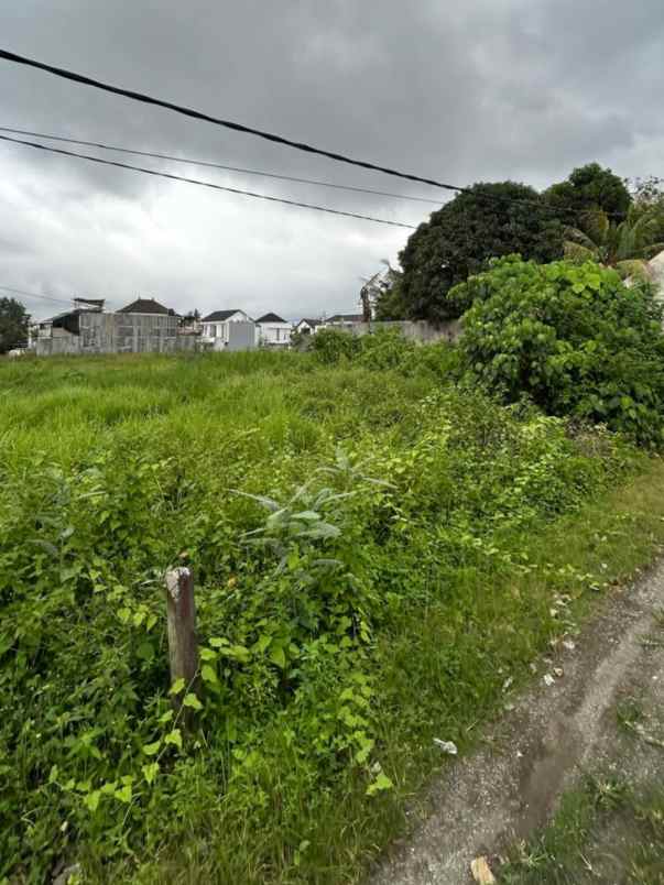 dijual tanah pantai kedungu