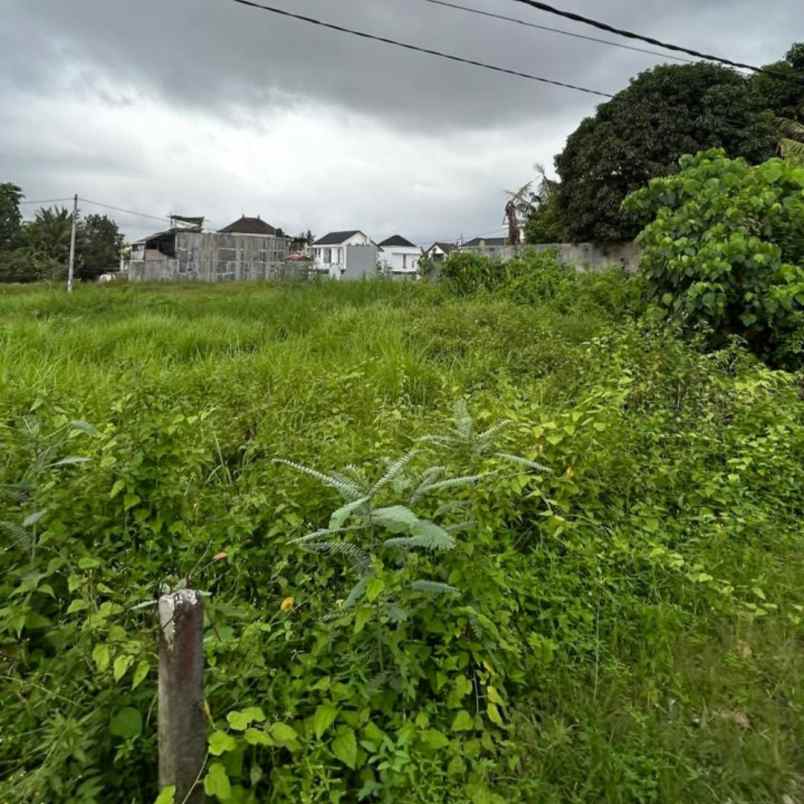 dijual tanah pantai kedungu