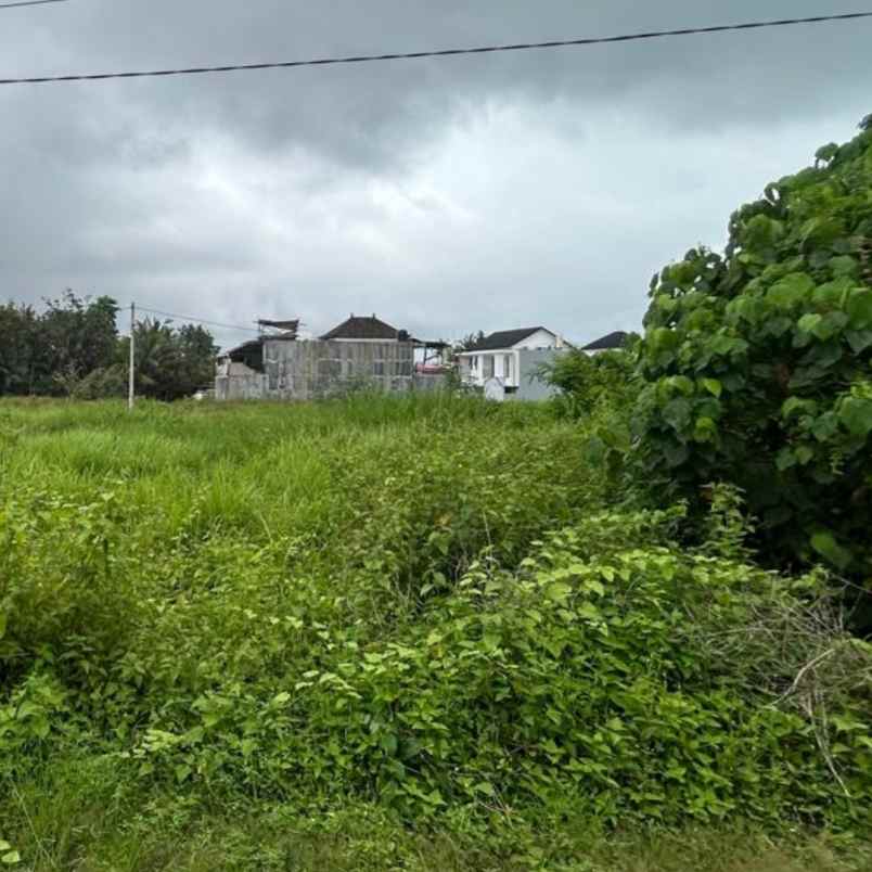 dijual tanah pantai kedungu