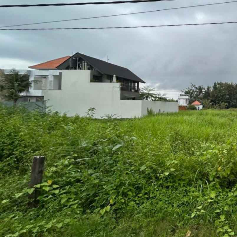 dijual tanah pantai kedungu