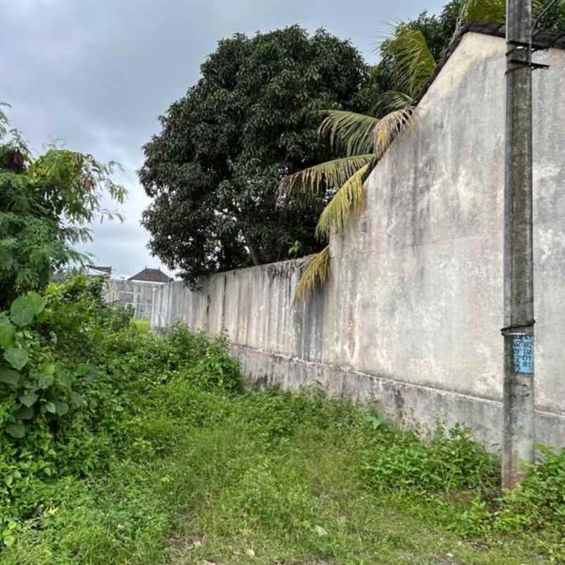 dijual tanah pantai kedungu