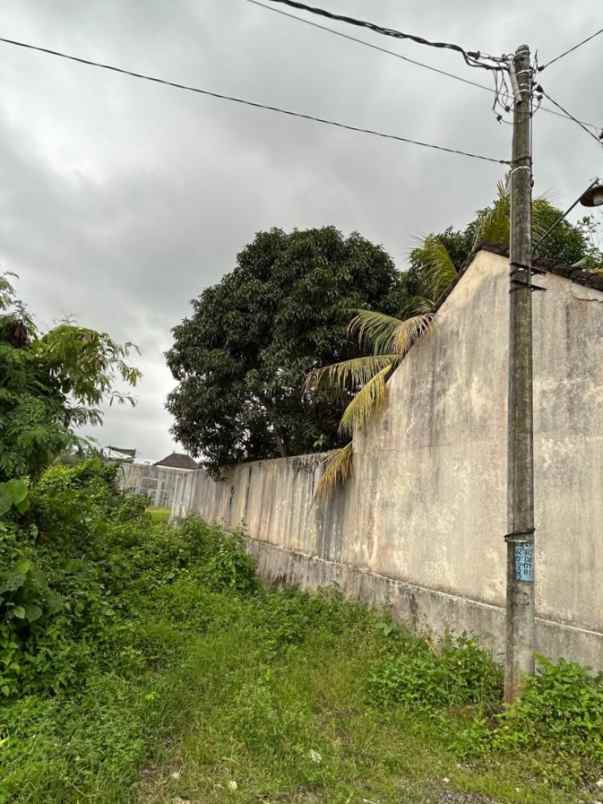 dijual tanah pantai kedungu