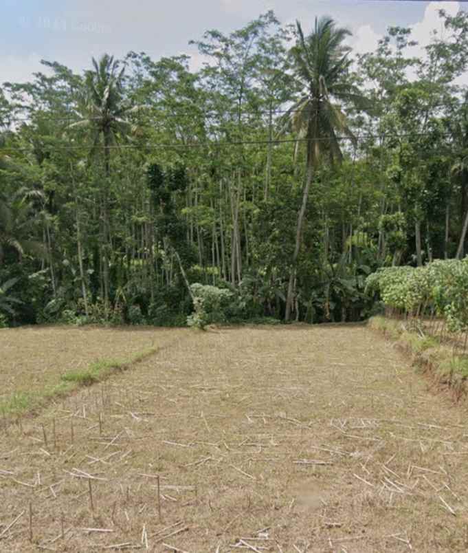 dijual tanah patrang jember jawa timur