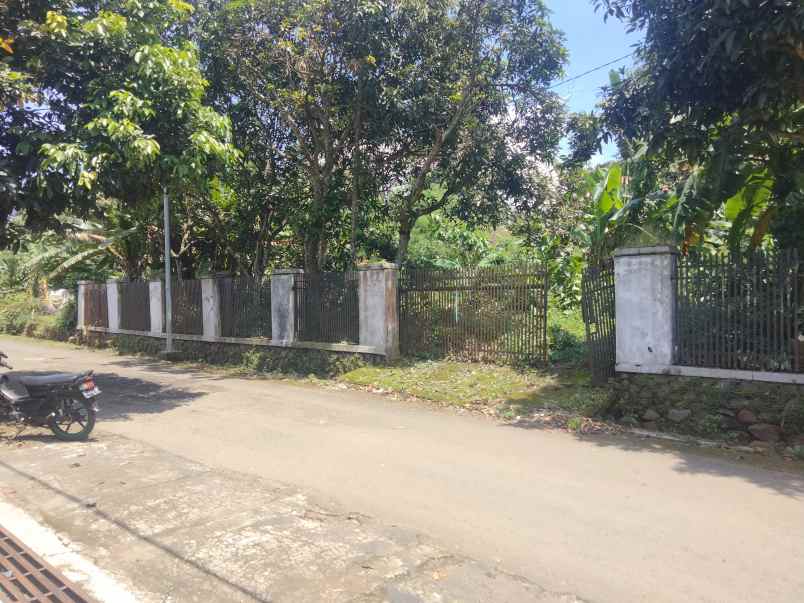 dijual tanah pinggir jl desa di pancalang