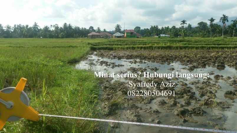 dijual tanah sawah luas lokasi strategis sumbar