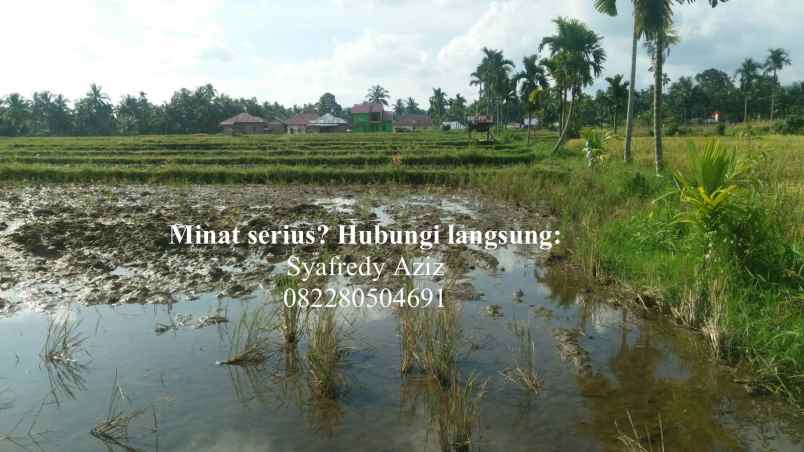 dijual tanah sawah luas lokasi strategis sumbar