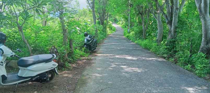 dijual tanah strategis di sentral lovina