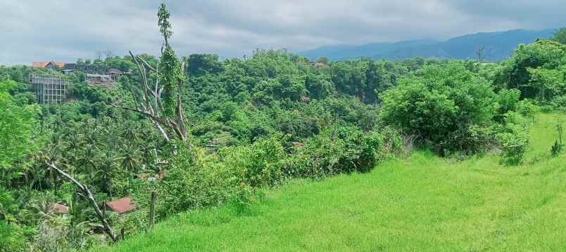 dijual tanah strategis di sentral lovina