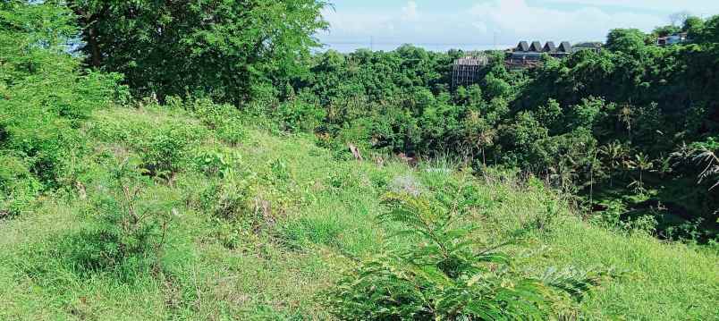 dijual tanah strategis di sentral lovina