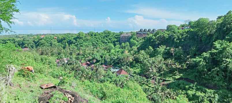 dijual tanah strategis di sentral lovina