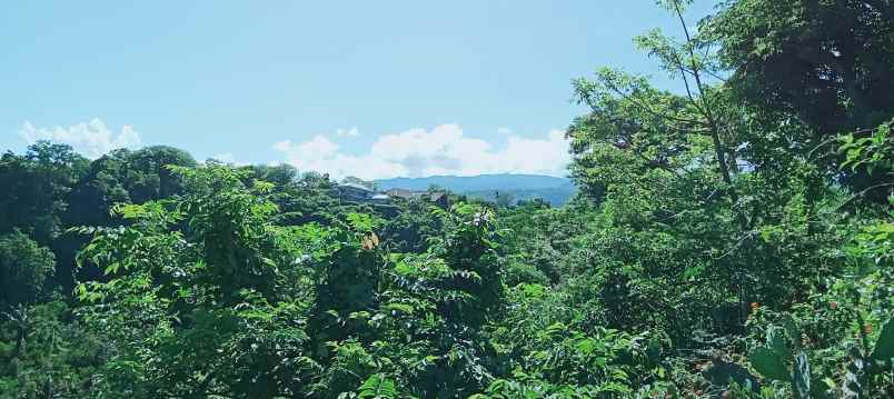 dijual tanah strategis di sentral lovina