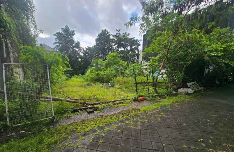 dijual tanah tegal cupek umalas