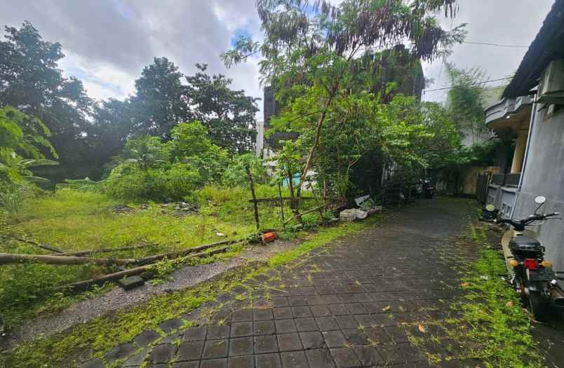 dijual tanah tegal cupek umalas