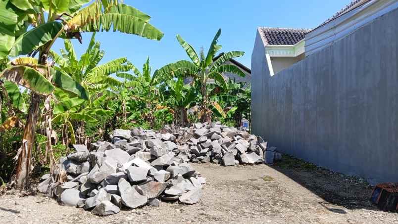 dijual tanah tlogomulyo