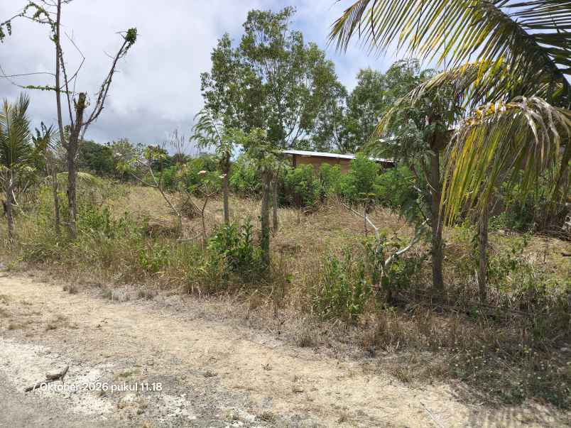 dijual tanah uluwatu badung bali
