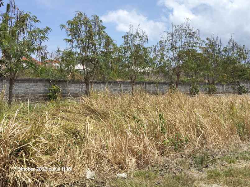dijual tanah uluwatu badung bali