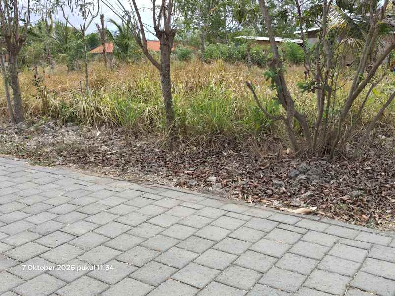 dijual tanah uluwatu badung bali