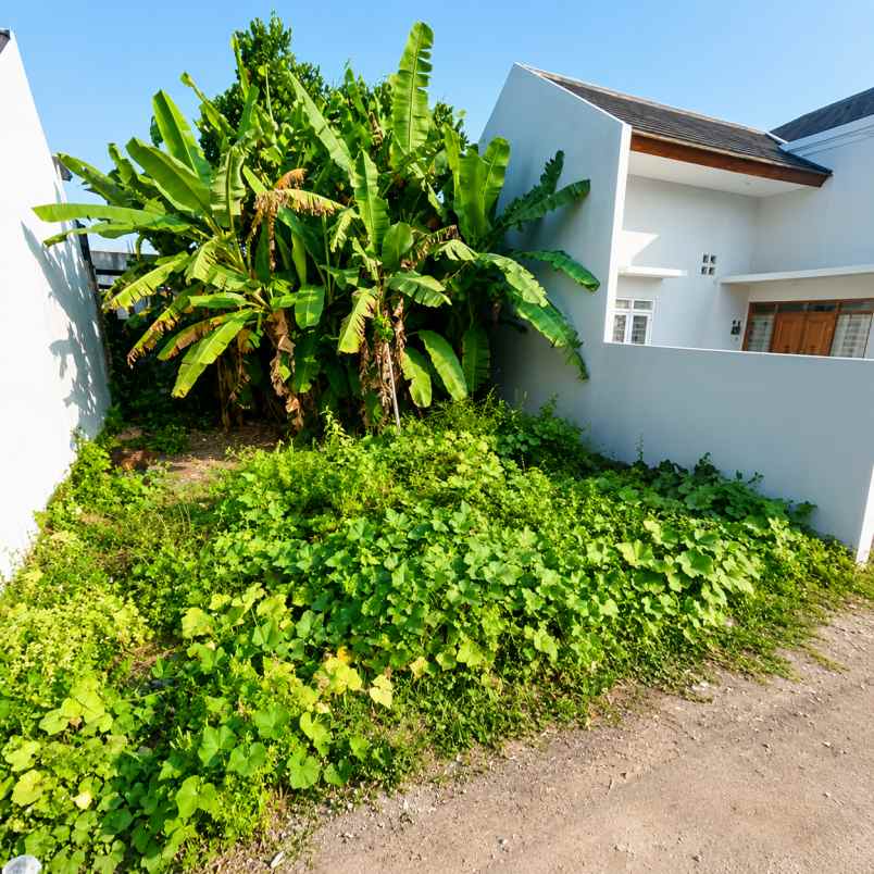 dijual tanah umy