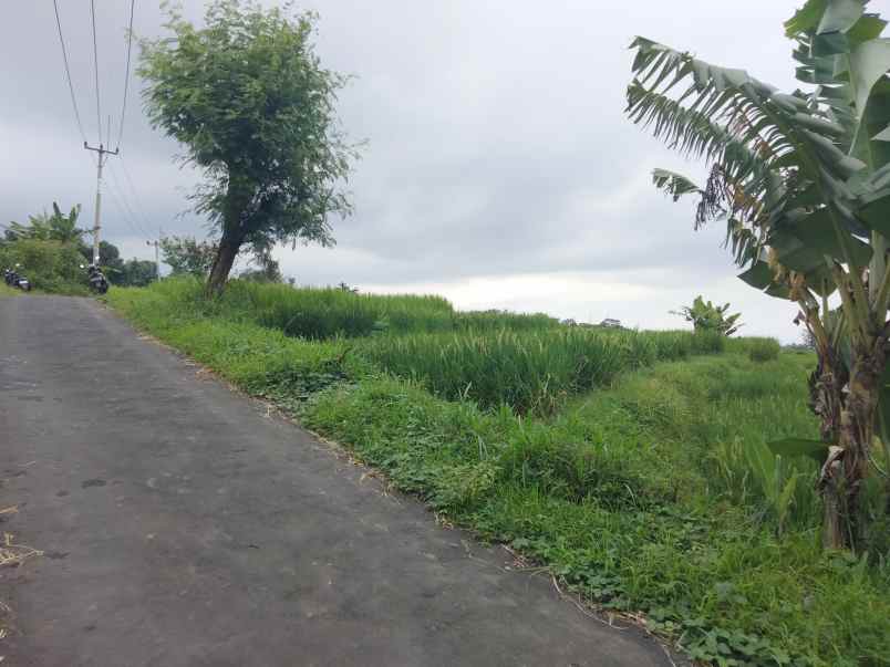 dijual tanah view gunung pinggir jalan desa