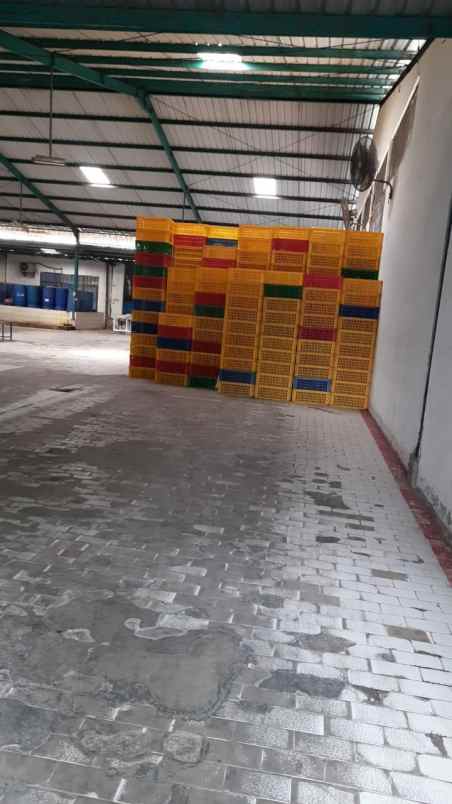 disewakan gudang di kendal jawa tengah